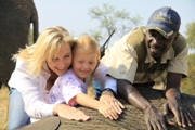 Bela Bela Elephant Adventure from R475 pp | Limpopo Safari Lodge